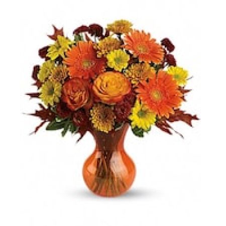 My Lady's Florist Westland - Bring the glorious colors of autumn indoors year-round with spectacularly radiant flowers in a bright orange Serendipity vase. It is a beautiful gift - and a beautiful bargain, too.  A win-win for everybody.