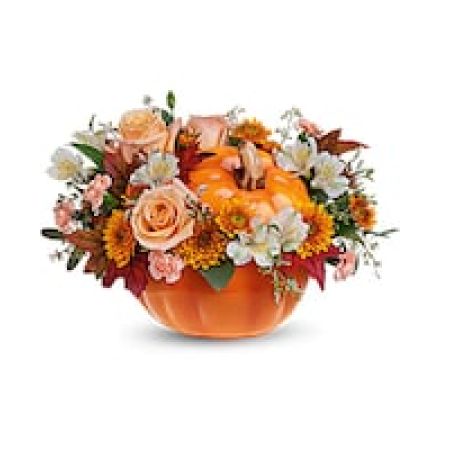 My Lady's Florist Westland - Welcome Fall into your home with this warm and cozy, Hello Pumpkin arrangement. The autumnal mix will add a sophisticated touch with crème roses combined with the warm hues of bronze chrysanthemums and peach mini carnations!