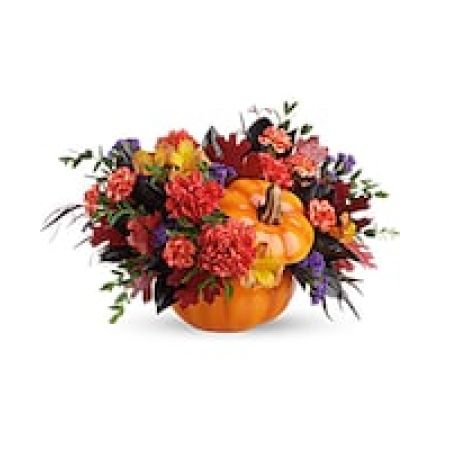 My Lady's Florist Westland - Bursting from a gorgeous glazed ceramic pumpkin bowl, this fabulous fall mix of alstroemeria and carantions is a hauntingly beautiful addition to your autumnal gatherings!