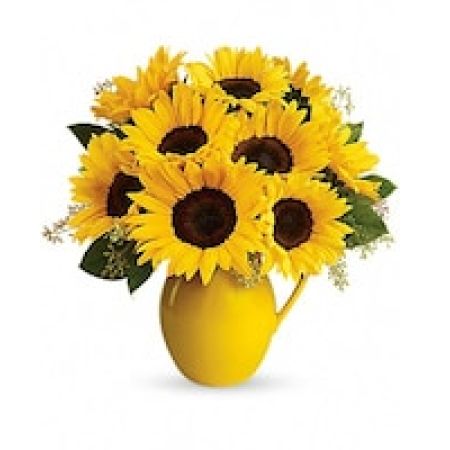 Teleflora's Sunny Day Pitcher of Sunflowers