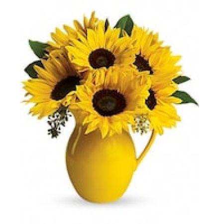 My Lady's Florist Westland - Pour on the fun by sending this dazzling bouquet of summer's brightest blooms! Great if you're invited to a pool party, BBQ or just want to brighten up someone's day.