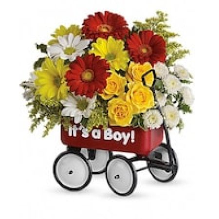 My Lady's Florist Westland - Talk about the perfect welcome wagon! Available for boys and girls, this darling keepsake will be cherished for years. Bright, cheerful and ready to \