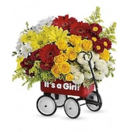 Baby's Wow Wagon by Teleflora - Girl
