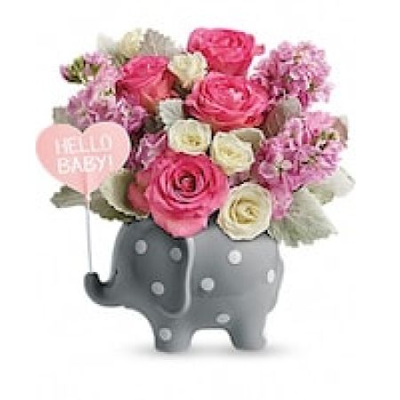 My Lady's Florist Westland - Welcome her with open arms, and ears! This sweet ceramic elephant is polka-dotted to perfection and arranged with an elegant array of pink blooms.