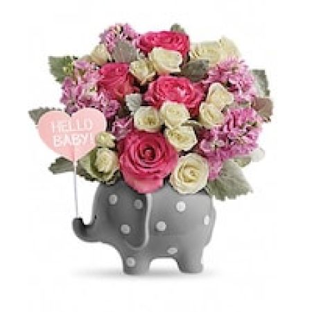 Teleflora's Hello Sweet Baby - Pink