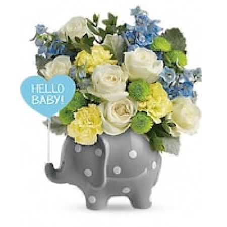 Teleflora's Hello Sweet Baby - Blue