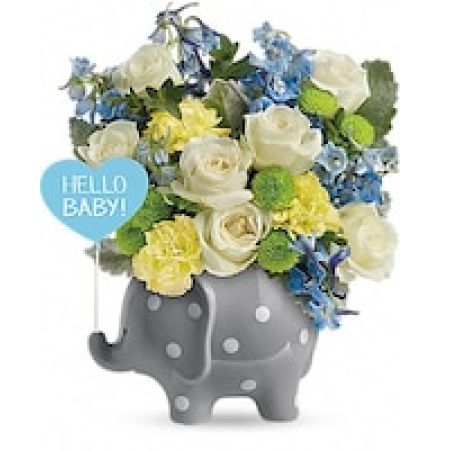 Teleflora's Hello Sweet Baby - Blue