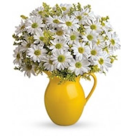 My Lady's Florist Westland - Picture someone receiving this sunny pitcher of daisies! It's so bright and full of warmth, it's guaranteed to make them smile. Besides being the perfect bouquet for any occasion, the dazzling yellow ceramic pitcher can be used and enjoyed for years to come.