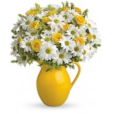 Teleflora's Sunny Day Pitcher of Daisies
