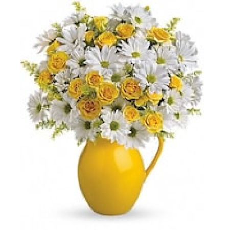 Teleflora's Sunny Day Pitcher of Daisies