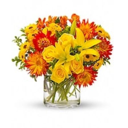 My Lady's Florist Westland - Just like a lively samba, this bouquet is an uninhibited celebration of summer.  If flowers could dance, these would be burning up the dancefloor.