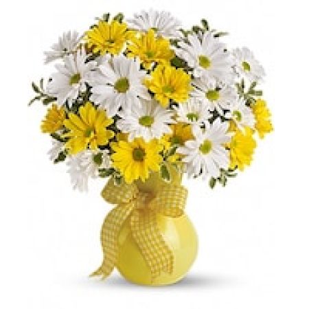 My Lady's Florist Westland -   What could be sweeter than a cheerful yellow vase filled with white and yellow daisies? Can't think of anything? Then choose this sunny bouquet. It will brighten their day.  
