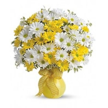 Teleflora's Upsy Daisy