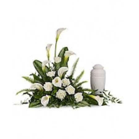 My Lady's Florist Westland - A calming portrait in ivory. Majestic calla lilies and stately white roses are framed by the lush leaves of aspidistra and calathea.  Soft green sword fern adds to the soothing tones.