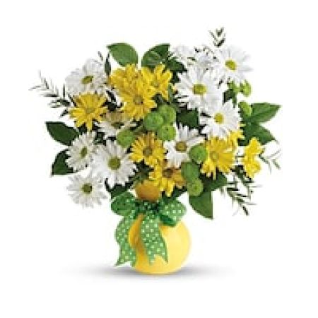 My Lady's Florist Westland - Spread sunshine with this burst of delightful daisies and fresh greens, arranged in a bright yellow vase that's tied with a cheerful polka dot ribbon!