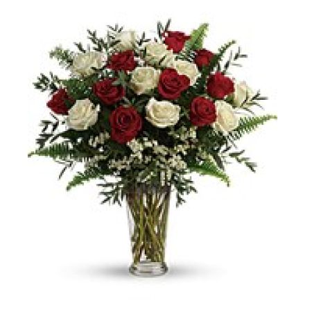 My Lady's Florist Westland - Make your special someone feel truly loved by surprising them with this extraordinary bouquet! A dozen and a half red and white roses are artfully arranged in a classic vase with delicate greens.\n