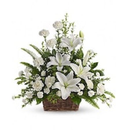 My Lady's Florist Westland - Whether you send this beautiful arrangement to the family home or to the service, all will appreciate its elegance and grace. The contrast of brilliant white blossoms and dazzling greenery create a wonderfully calm and dignified setting.