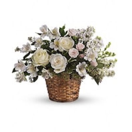 My Lady's Florist Westland - Send comfort and thoughts of hope for a brighter day with this peaceful basket of white sympathy blooms, and a sweet hint of pink. Gently uplifting, it is perfect for the service.