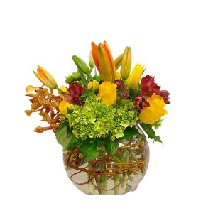 Wildflowers of Parkland Coral Springs - -