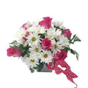 Wildflowers of Parkland Coral Springs - A dozen pink roses with daises and a fun bow tie. 