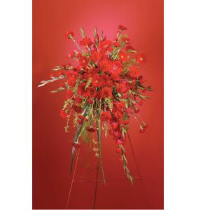 Wildflowers of Parkland Coral Springs - Red Spray