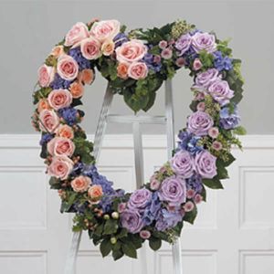 Wildflowers of Parkland Coral Springs - 