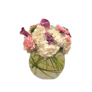 Wildflowers of Parkland Coral Springs - <p>A beautiful pave of whites and pastel pinks.</p>