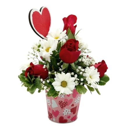 Wildflowers of Parkland Coral Springs - Delight her, or him with this Rose and Daisy cutie. 
