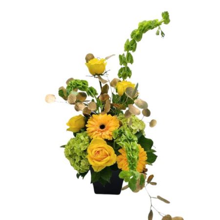 Wildflowers of Parkland Coral Springs - Are you feeling lucky, We've  gotten the Leprechauns lucky bag of gold for you.