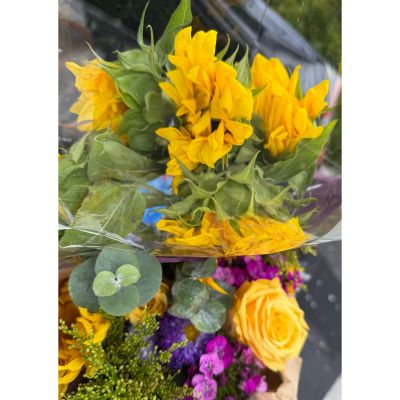 Dottie's Flowers and Plants Los Angeles - Hdhfj