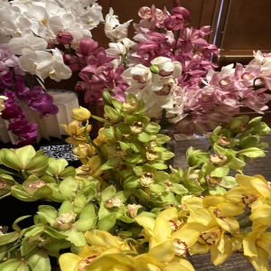 Dottie's Flowers and Plants Los Angeles - Indulge in the exquisite beauty of our Orchid Symphony, a breathtaking display of pristine white, delicate lavender, and vibrant yellow blooms. These elegant orchids exude a sophisticated fragrance and a timeless grace, perfect for elevating any space with a touch of modern luxury. Send this stunning orchid arrangement as a thoughtful gift to express your deepest sentiments, or simply treat yourself to a moment of serene beauty. Experience the captivating allure of these long-lasting, exotic flowers – a true masterpiece of nature's artistry.