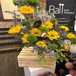 Dottie's Flowers and Plants Los Angeles - Brighten any space with the joyful radiance of our “Sunshine & Lavender” bouquet, a stunning mix of golden sunflowers and fragrant lavender. This vibrant arrangement evokes warm summer days and a sense of cheerful wellbeing, perfect for birthdays, thank you gifts, or simply to uplift your own spirit. Lush greenery and delicate accents create a textural masterpiece, filling the room with beauty and a captivating, fresh floral scent. Send a little happiness today with these beautiful, hand-arranged **fresh flowers** and **sunflower bouquets**!