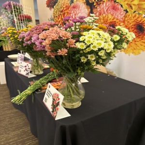 Dottie's Flowers and Plants Los Angeles - Bursting with color and life, this stunning mixed bouquet features radiant dahlias, cheerful daisies, and delicate statice for a truly captivating display. 
Soft peach, lavender, and white hues blend harmoniously, creating a fresh and inviting ambiance perfect for any occasion.
Send joy and brighten someone’s day with this beautiful hand-tied arrangement, ideal as a thank you gift or a “just because” surprise.
Experience the exquisite fragrance and vibrant beauty of fresh flowers – a little piece of sunshine delivered right to their door.