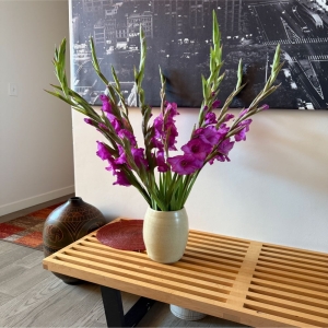 GotFlowers Demo Fremont - Commanding attention with their regal hue, these Purple Gladiolus stems bring a touch of sophisticated beauty to any space. 
Each bloom unfurls in layers of rich violet, exuding an air of grace and gentle fragrance, perfect for brightening a room or celebrating a special occasion.
Delivered in a classic vase, this striking arrangement makes a thoughtful gift to express admiration, sympathy, or simply ‘just because’.
Experience the enduring elegance of fresh gladiolus – a symbol of strength and integrity, now available for same-day flower delivery.