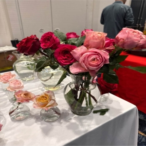 Madison Avenue Florist - Demo Fort Lauderdale - Bring the warmth and joy of a summer afternoon indoors with Sunlit Meadow. This exquisite arrangement captures the carefree spirit of wildflowers in full bloom. Delicate textures and a vibrant palette blend to create a piece that feels both relaxed and refined. Imagine this bouquet gracing your dining table brightening a loved one's day or simply offering a moment of peace amidst the bustle of life. The soft natural light seemingly radiates from the blooms evoking feelings of happiness and tranquility. Perfect for expressing gratitude celebrating a milestone or simply spreading a little sunshine.