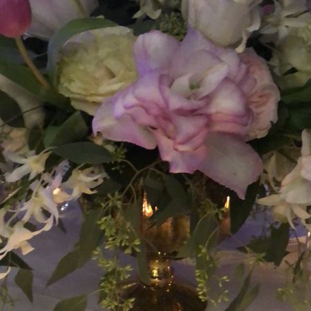 Madison Avenue Florist - Demo Fort Lauderdale - Hj