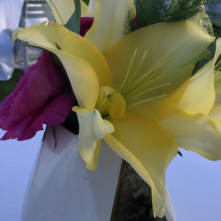 Madison Avenue Florist - Demo Fort Lauderdale - Fh