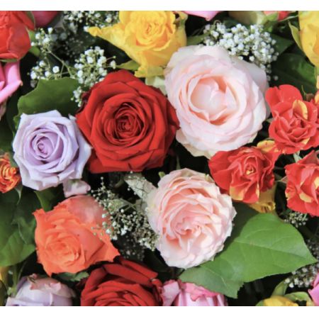 Madison Avenue Florist - Demo Fort Lauderdale - Rose Colors