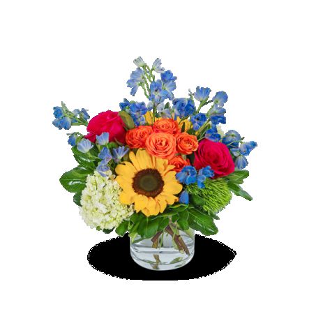 Madison Avenue Florist - Demo Fort Lauderdale - Brighten any celebration with our Havana Blooms flower design, a stunning mix of sunflowers, roses, hydrangeas, and more in a kaleidoscope of vibrant colors. Ideal for birthdays, anniversaries, or any special occasion, this exuberant arrangement combines delphiniums, bells of Ireland, and green trick dianthus with lush foliage to create a show-stopping display of joy and energy. Make a lasting impression with this bold and beautiful bouquet, perfect for delivering happiness and color to someone special.