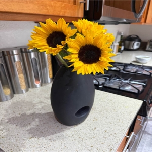 Beaverton Florists- Demo Beaverton - The ‘Delta’ arrangement is a captivating burst of color and texture designed to evoke feelings of warmth and joyful connection. Imagine a sun-drenched meadow translated into a stunning floral display. Soft velvety petals mingle with graceful arching stems creating a harmonious blend of natural beauty. This isn't just a bouquet; it's a moment of serenity brought to life – perfect for brightening a loved one’s day expressing heartfelt sympathy or simply indulging in the pleasure of having fresh flowers grace your home. The sweet delicate fragrance subtly perfumes the air adding a touch of elegance to any space. ‘Delta’ speaks volumes without saying a word offering comfort cheer and a reminder of the beauty that surrounds us. It’s a thoughtful gift for birthdays anniversaries or to show someone you're thinking of them.