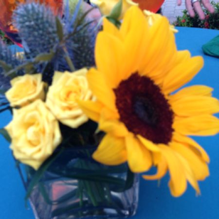 Beaverton Florists- Demo Beaverton - Dg