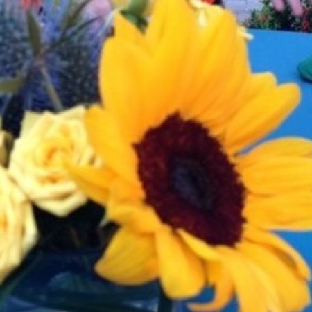 Beaverton Florists- Demo Beaverton - fh