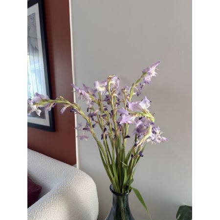 Beaverton Florists- Demo Beaverton - A stunning, airy arrangement of delicate lavender stock flowers presented in a sleek, dark glass vase. These blooms offer a touch of whimsical elegance with their slender stems and softly hued petals. Perfect for adding a serene and sophisticated accent to any room. 