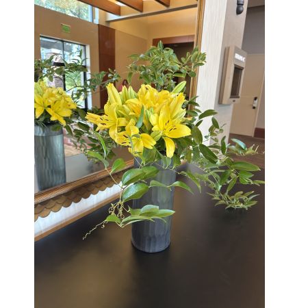 Beaverton Florists- Demo Beaverton - Brighten any space with the radiant joy of fresh yellow lilies, elegantly arranged in a sleek, textured grey vase. These stunning blooms exude a sweet, delicate fragrance and a cheerful energy, perfect for expressing sympathy, congratulations, or simply "thinking of you." Send sunshine and positivity with this beautiful lily bouquet – a timeless gift to lift spirits and illuminate any occasion. It's a vibrant, unforgettable display of floral artistry that adds a touch of natural elegance to any home or office.