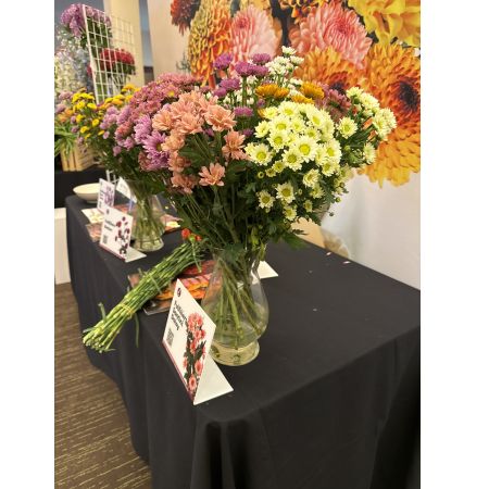 Beaverton Florists- Demo Beaverton - Bursting with color and life, this stunning mixed bouquet features radiant dahlias, cheerful daisies, and delicate statice for a truly captivating display. 
Soft peach, lavender, and white hues blend harmoniously, creating a fresh and inviting ambiance perfect for any occasion.
Send joy and brighten someone’s day with this beautiful hand-tied arrangement, ideal as a thank you gift or a “just because” surprise.
Experience the exquisite fragrance and vibrant beauty of fresh flowers – a little piece of sunshine delivered right to their door.