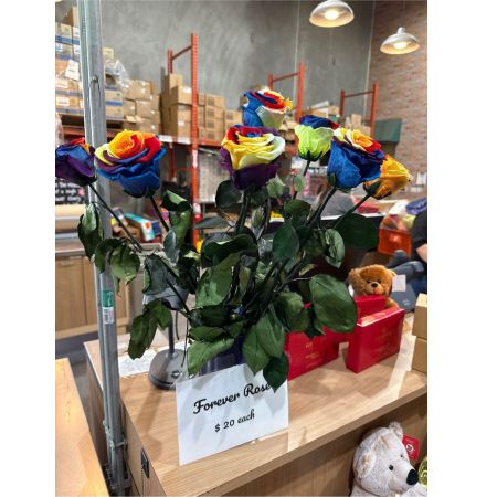 Beaverton Florists- Demo Beaverton - Behold the Forever Rose, a stunning symbol of lasting affection and vibrant beauty—a single, exquisitely preserved rose in a captivating rainbow gradient. Each petal retains its soft texture and rich color, promising an enduring bloom that transcends the fleeting nature of fresh flowers. Perfect as a unique gift for a loved one or a cherished addition to your own space, this rose embodies joy, pride, and everlasting love. A timeless statement, it’s a beautiful way to brighten any home or celebrate a special moment with a long-lasting floral treasure.