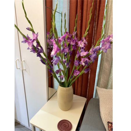 Beaverton Florists- Demo Beaverton - Bathed in the warm hues of a setting sun the Golden Hour Bloom is a radiant expression of joy and gratitude. This stunning arrangement features a captivating blend of textures and tones designed to evoke a sense of peace and serenity. Imagine this piece gracing your dining table bringing a touch of natural elegance to a dinner party or as a heartfelt 'thank you' to someone special. The soft petals and layered blooms create a luxurious visual experience promising to brighten any space and lift spirits. It's more than just flowers; it's a moment of sunshine delivered.