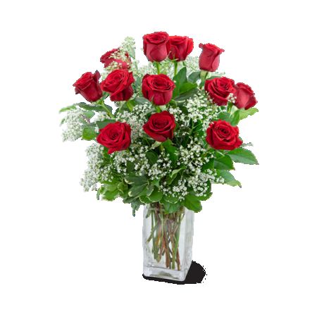 Beaverton Florists- Demo Beaverton - Red roses are the timeless symbol of love and romance, making them the quintessential choice for expressing deep affection. Our Red Roses in a Cloud arrangement showcases stunning red roses, delicate Baby's Breath, and lush premium foliage, creating a bold and classic statement of love. Perfect for anniversaries, Valentine's Day, or any moment when you want to say "I love you," this bouquet is sure to captivate. Opt for the premium size to receive an even more elegant and sizable arrangement in a luxurious vase, elevating the gesture to new heights of romance. Choose this classic bouquet to effortlessly convey heartfelt sentiments to your special someone.






