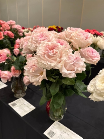 GotFlowers Demo Westland - Bask in the warmth of 'Sunstone Meadow' a breathtakingly radiant floral arrangement designed to capture the essence of a summer sunset. This exquisite bouquet overflows with the soft textures and vibrant hues of garden-fresh blooms evoking feelings of joy tranquility and natural beauty. Imagine this centerpiece gracing your dining table bringing a touch of the outdoors in or sending a heartfelt 'thinking of you' to someone special. The delicate petals and captivating fragrance create an ambiance of pure serenity perfect for any occasion celebrating life's simple pleasures. Give the gift of sunshine and lasting happiness with 'Sunstone Meadow'.