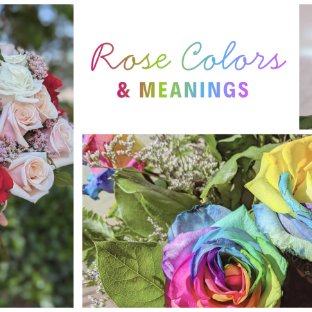 rose-color--meanings